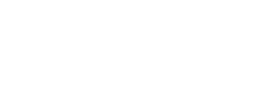 brand-logo-ace